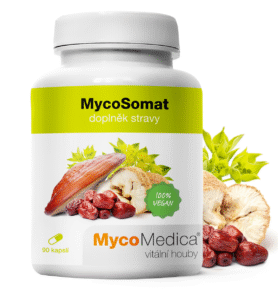 MycoMedica MycoSomat 90 kapslí