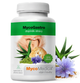 MycoMedica MycoGastro 90g prášku