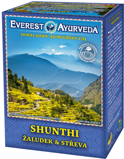Everest Ayurveda SHUNTHI Žaludek a střeva 100 g