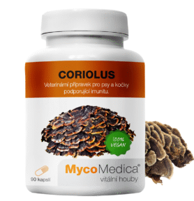 MycoMedica  Coriolus - Outkovka pestrá 90 kapslí
