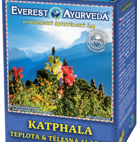 Everest Ayurveda KATPHALA Chřipka a imunitní systém 100 g