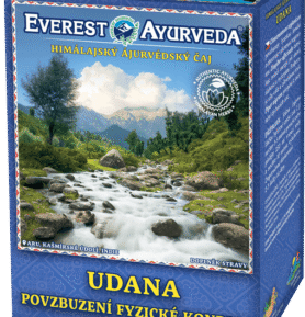 Everest Ayurveda UDANA Body Fitness Tea 100 g