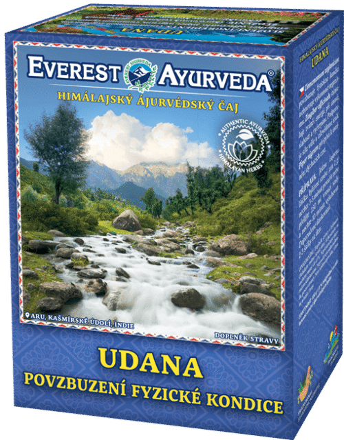Everest Ayurveda UDANA Body Fitness Tea 100 g