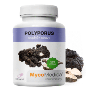 MycoMedica Polyporus - Choroš oříž 90 kapslí