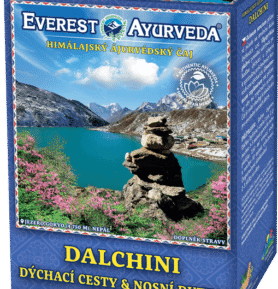 EVEREST AYURVEDA himalájský bylinný čaj DALCHINI