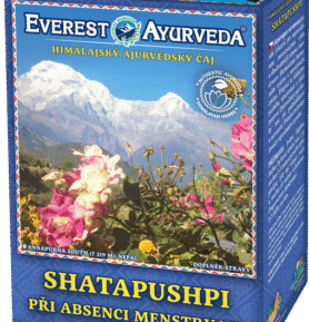 Everest Ayurveda Shatapushpi 100 g