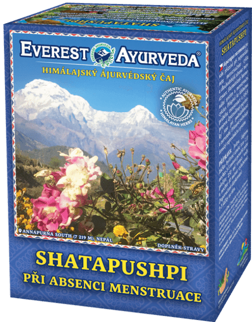 Everest Ayurveda Shatapushpi 100 g