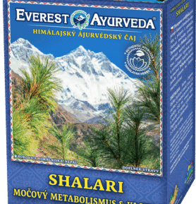 Everest Ayurveda SHALARI Dna a kloubní otoky 100 g