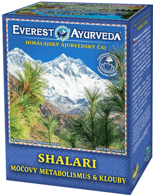 Everest Ayurveda SHALARI Dna a kloubní otoky 100 g
