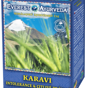 Everest Ayurveda KARAVI Allergies Tea 100 g