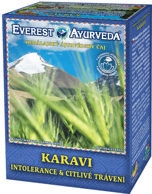 Everest Ayurveda KARAVI Allergies Tea 100 g