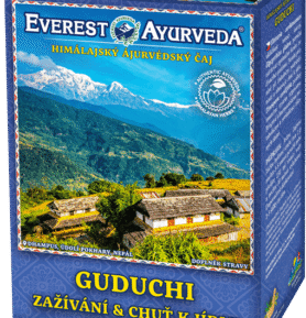 Everest Ayurveda GUDUCHI Nevolnost a průjem 100 g