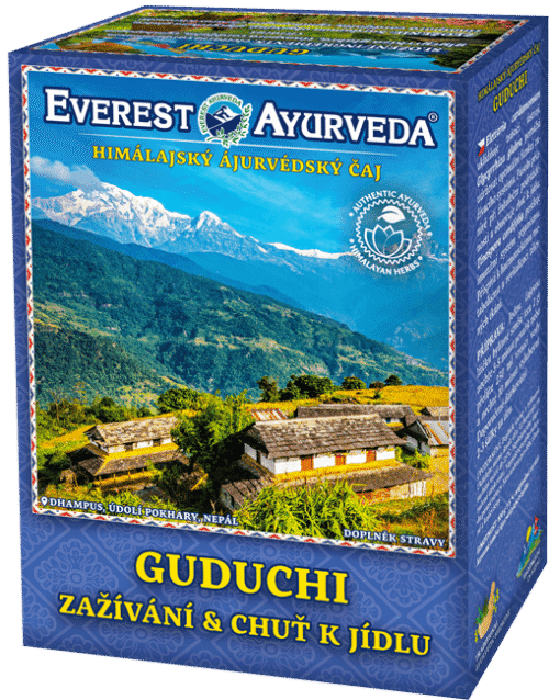 Everest Ayurveda GUDUCHI Nevolnost a průjem 100 g