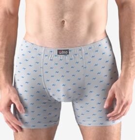 Pánské boxerky s delší nohavičkou GINO 74146P sv. šedá šalvěj M/L
