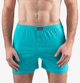 Pánské volné trenky GINO 75191P peprmint šalvěj L/XL
