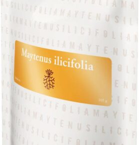 Energy MAYTENUS ILICIFOLIA bylinný čaj 105 g