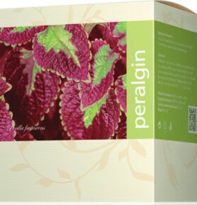 Energy Peralgin 120 tabl.