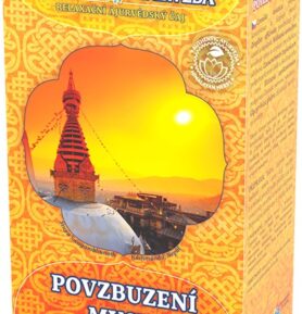 EVEREST AYURVEDA Relaxační ájurvédský čaj POVZBUZENÍ MYSLI