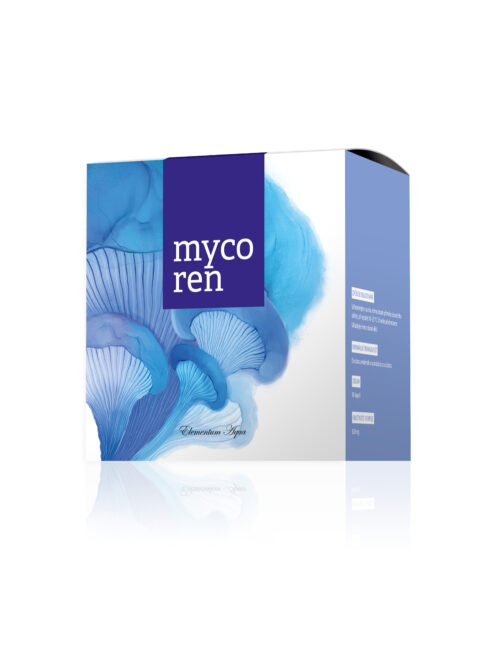Energy Mycoren 90 kapslí