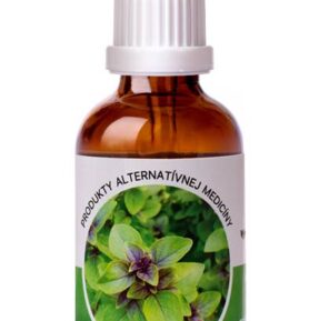Trávniček Trávníček Dračí krev - Tulsi (Bazalka posvátná)
