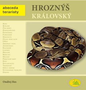 Hroznýš královský