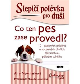 Slepičí polévka pro duši Co ten pes zase provedl?: 101 báječných příběhů o kouzelných chvílích, zázr