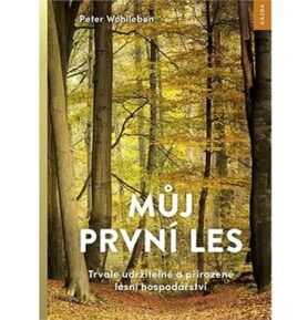 Můj první les: Trvale udržitelné a přirozené lesní hospodářství