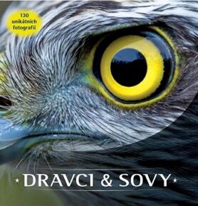 Dravci a sovy: 150 unikátních fotografií