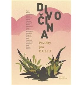 Divočina: Povídky pro DUHU