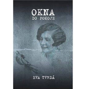 Okna do pokoje