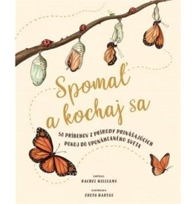 Spomaľ a pozoruj