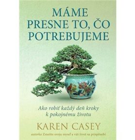 Máme presne to, čo potrebujeme: Ako robiť každý deň kroky k pokojnému životu
