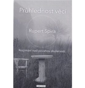 Průhlednost věcí: Rozjímaní nad povahou zkušenosti