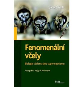 Fenomenální včely