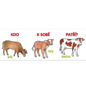 Kdo k sobě patří?