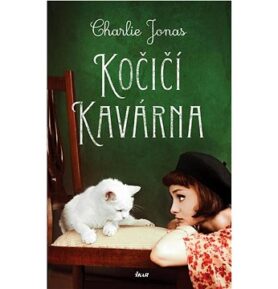 Kočičí kavárna