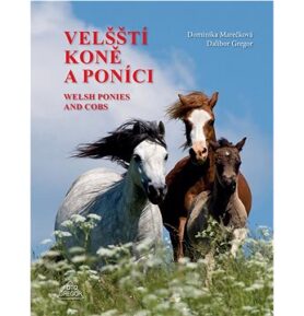 Velšští koně a poníci
