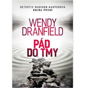 Pád do tmy: Detektiv Madison Harperová Kniha první