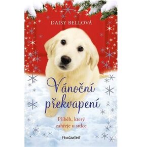 Vánoční překvapení: Příběh, který zahřeje u srdce