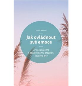 Jak ovládnout své emoce: Krok za krokem k pozitivnějšímu prožívání každého dne
