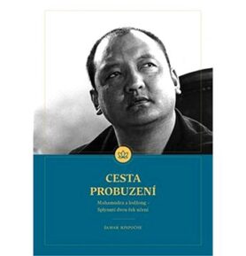 Cesta Probuzení