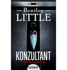 Konzultant