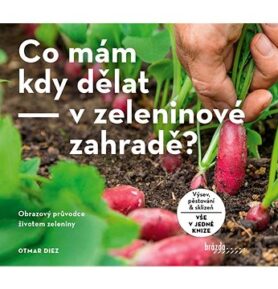 Co mám kdy dělat - v zeleninové zahradě?
