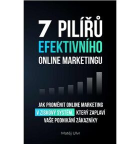 7 pilířů efektivního online marketingu: Jak proměnit online marketing v ziskový systém, který zaplav