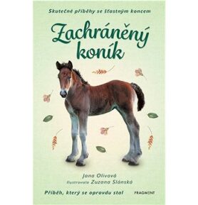 Zachráněný koník: Skutečné příběhy se šťastným koncem