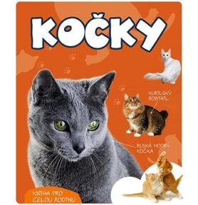 Kočky