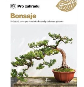Bonsaje: Praktický rádce pro sváteční zahradníky