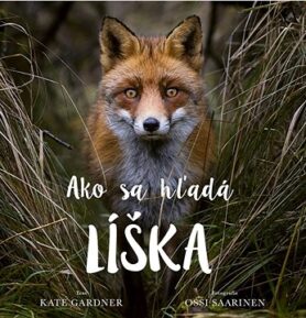 Ako sa hľadá líška