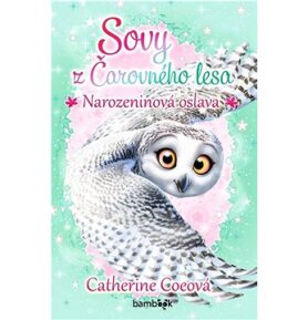 Sovy z Čarovného lesa Narozeninová oslava