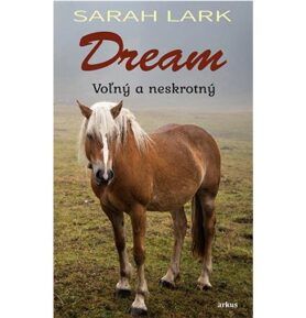 Dream